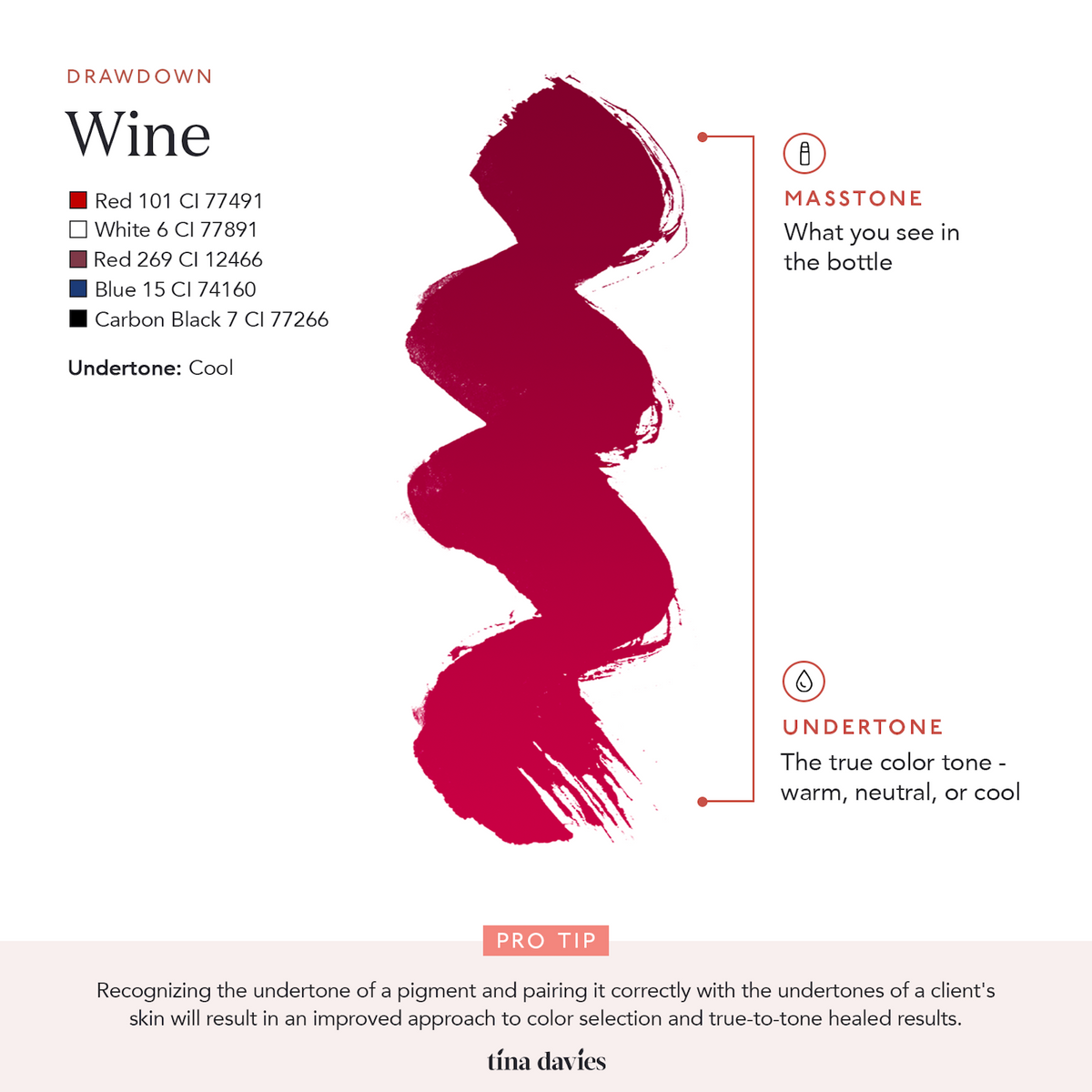 Envy Lip Pigments - Wine